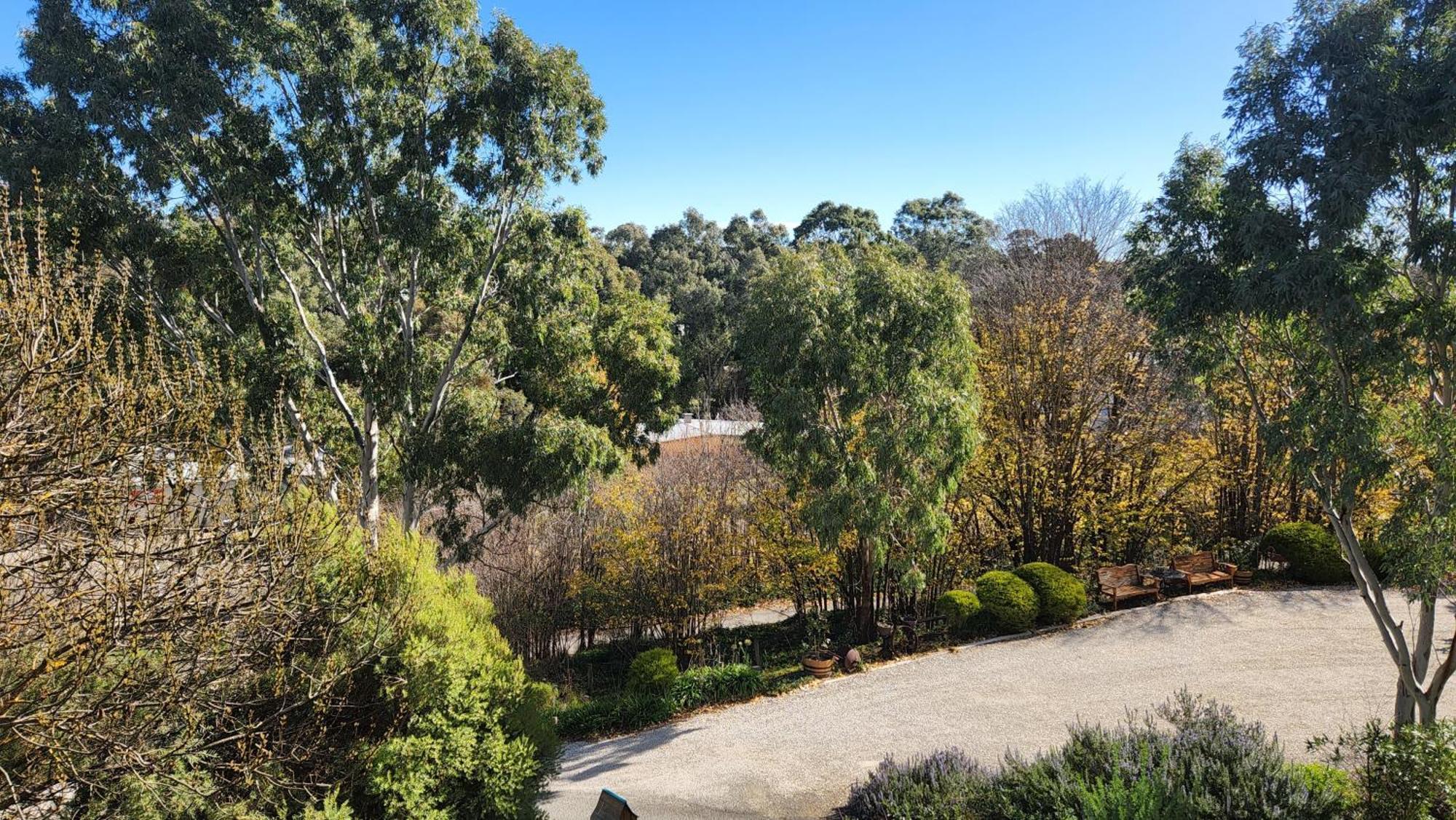 Riesling Trail & Clare Valley Cottages Номер фото
