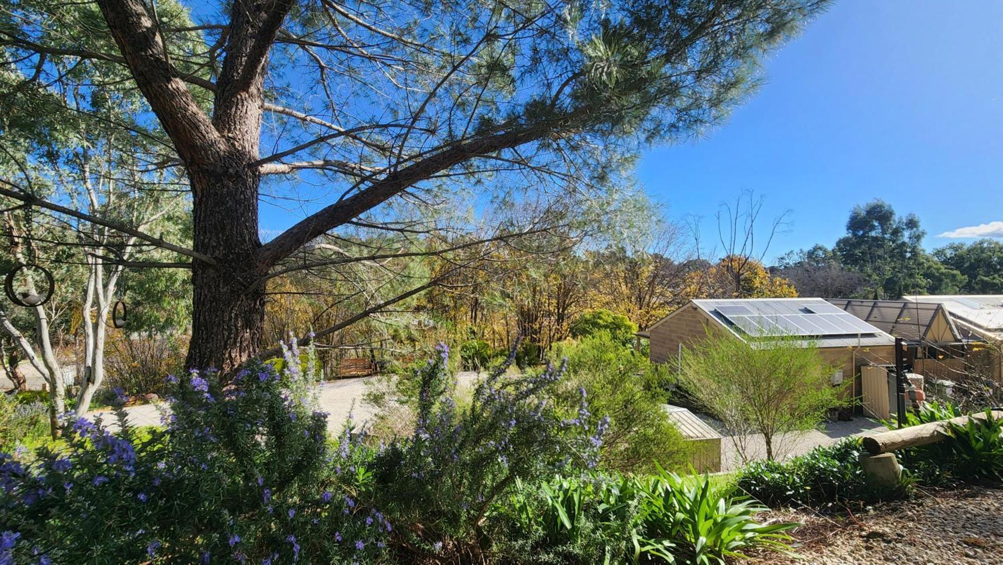 Riesling Trail & Clare Valley Cottages Номер фото