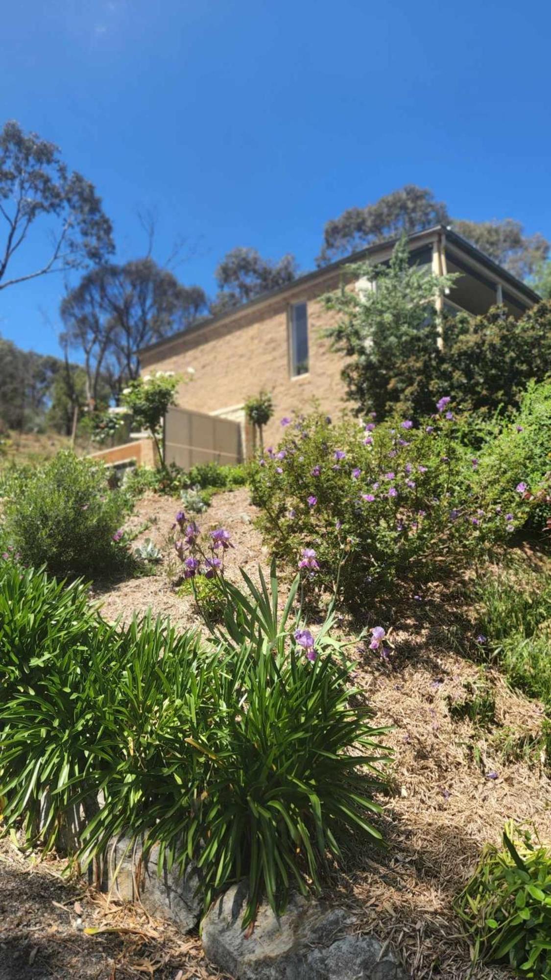 Riesling Trail & Clare Valley Cottages Экстерьер фото