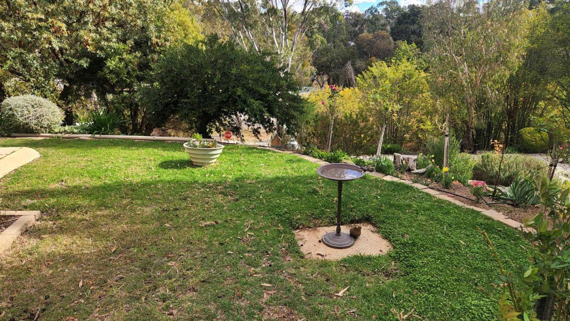 Riesling Trail & Clare Valley Cottages Номер фото